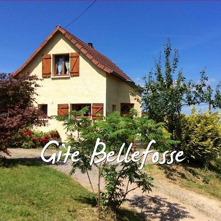 Maison independante de montagne en ALSACE Bellefosse Extérieur photo