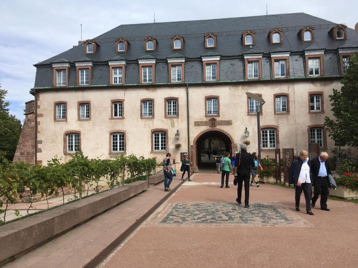 Maison independante de montagne en ALSACE Bellefosse Extérieur photo