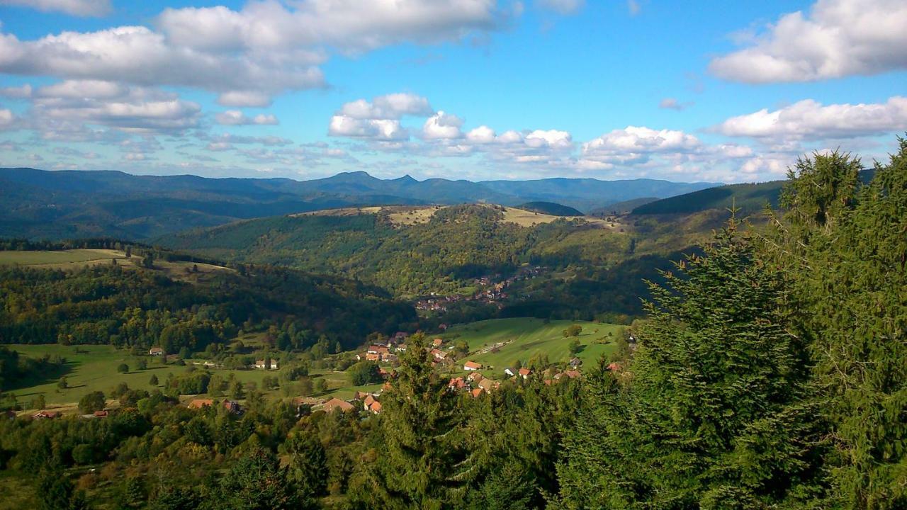 Maison independante de montagne en ALSACE Bellefosse Extérieur photo